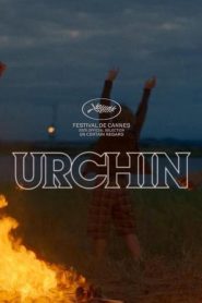 Urchin 2025