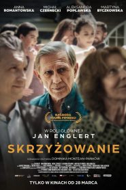 Skrzyżowanie 2025