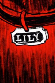 Lily 2025