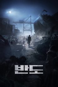 반도 2020