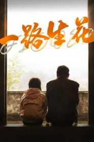 一路生花 2025