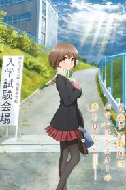 青春ブタ野郎はおでかけシスターの夢を見ない 2023