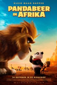 Pandabeer in Afrika 2024