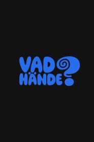 Vad hände? 2025