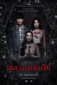 สุสานคนเป็น 2025