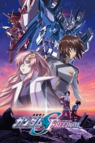 機動戦士ガンダムSEED FREEDOM 2024