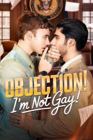 Objection I’m not gay 2025
