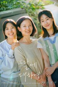 딸에 대하여 2024