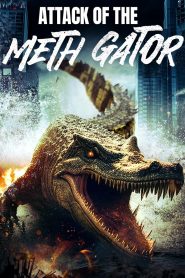Attack of the Meth Gator 2024