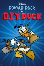 D.I.Y. Duck 2024