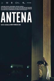 Antena 2024